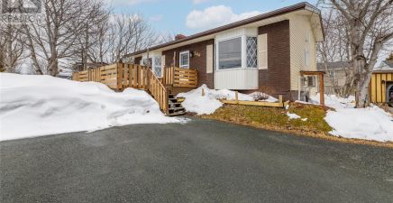 244 Fowlers Road, Conception Bay South, NL A1W4J8