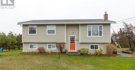 487 Seal Cove Road, Conception Bay South, NL A1X6R4