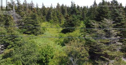 0 McNamara Crescent, Harbour Grace, NL A0A2M0