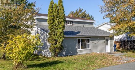 3 Lexington Place, Conception Bay South, NL A1X6A2