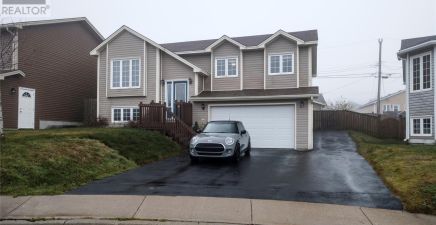 10 Kelburn Place, Mount Pearl, NL A1N0B6